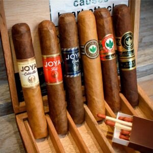 Joya de Nicaragua Robusto 6 Cigar - Sampler Box